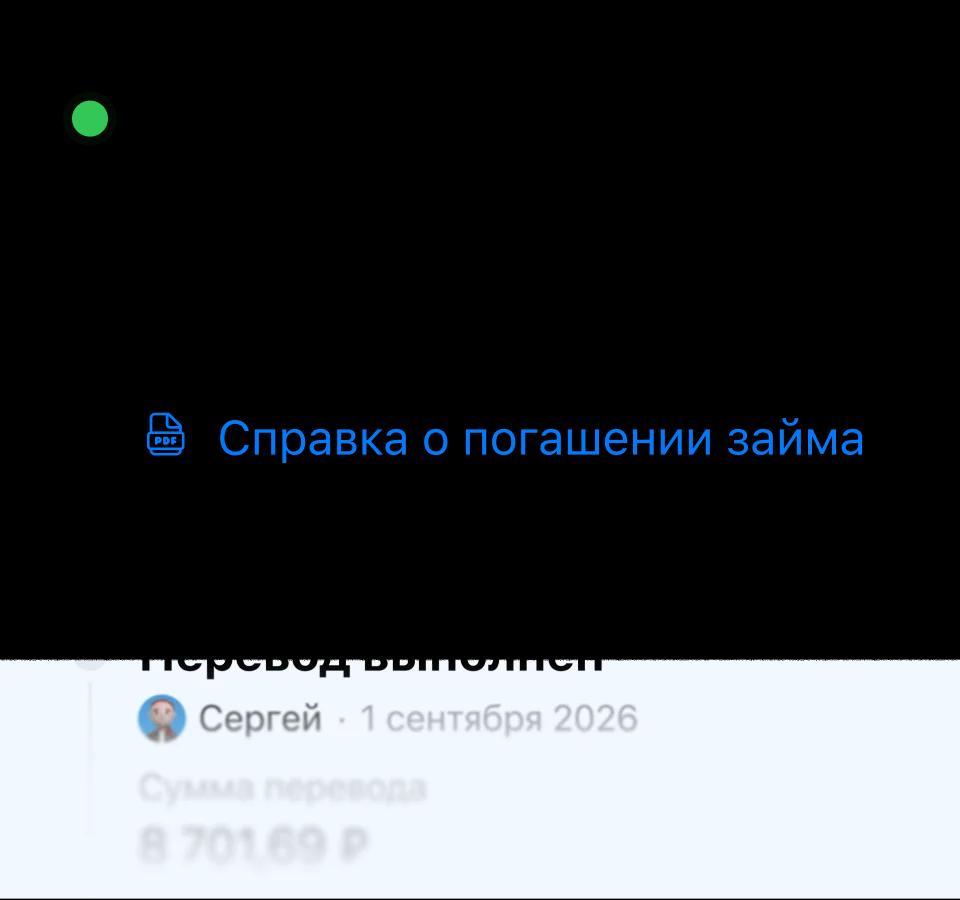 Вся история займа остаётся под рукой